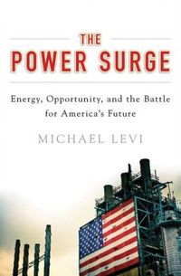 Power Surge by Michael A. Levi