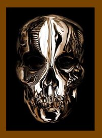 Alexander Mcqueen by Andrew Bolton