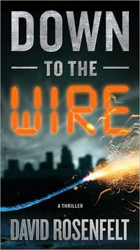 Down to the Wire by David Rosenfelt
