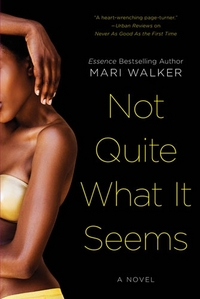 Not Quite What It Seems by Mari Walker