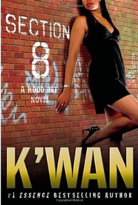 Section 8 by K'wan Foye