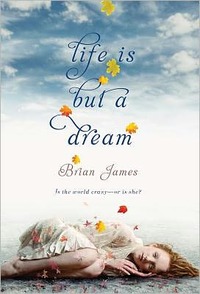 Life is but a Dream by Brian James