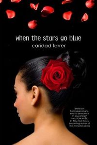 Excerpt of When The Stars Go Blue by Caridad Ferrer