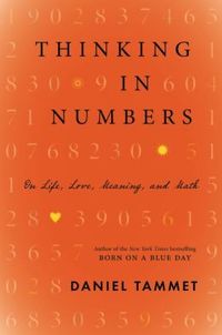 Thinking In Numbers by Daniel Tammet