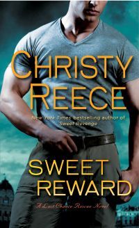 Excerpt of Sweet Reward by Christy Reece