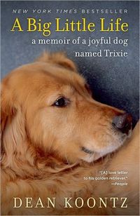 A Big Little Life by Dean Koontz