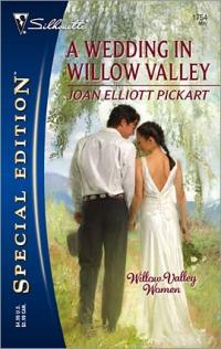 Excerpt of Willow Valley Women by Joan Elliott Pickart