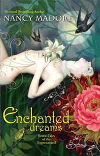 Enchanted Dreams by Nancy Madore