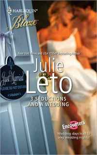 Excerpt of 3 Seductions and A Wedding by Julie Leto