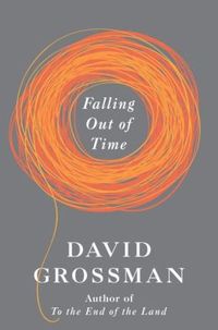 Falling Out Of Time by David Grossman
