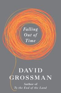 Falling Out Of Time by David Grossman