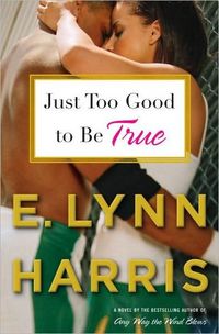 Just Too Good to Be True: A Novel by E. Lynn Harris