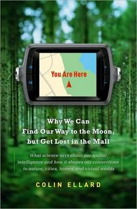 You Are Here by Colin Ellard