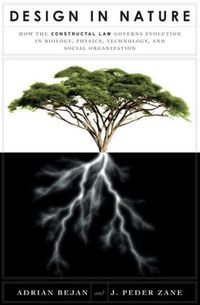 Design In Nature by Adrian Bejan