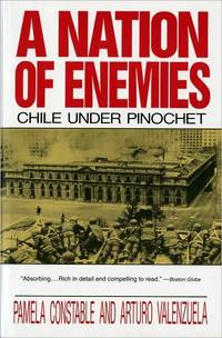 A Nation Of Enemies by Arturo Valenzuela