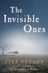The Invisible Ones by Stef Penney