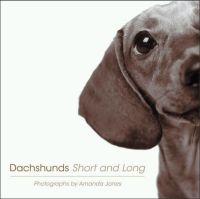 Dachshunds Short and Long by Amanda Jones