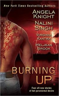 Burning Up by Meljean Brook