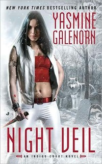 Night Veil by Yasmine Galenorn