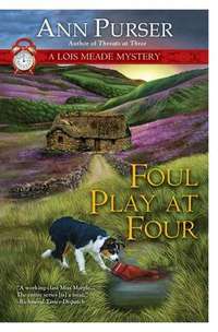 Foul Play At Four by Ann Purser