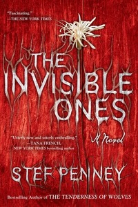 The Invisible Ones by Stef Penney