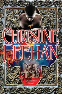 Dark Storm by Christine Feehan