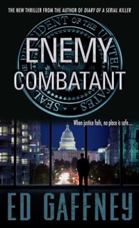 Enemy Combatant by Ed Gaffney