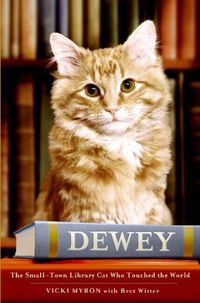 Dewey by Vicky Myron