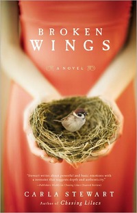 Broken Wings by Carla Stewart