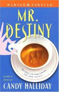 Mr. Destiny by Candy Halliday