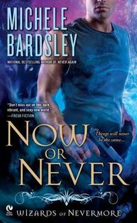Now Or Never by Michele Bardsley