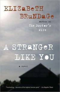 A Stranger Like You by Elizabeth Brundage