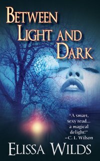 Between Light And Dark by Elissa Wilds
