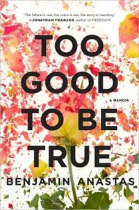 Too Good To Be True by Benjamin Anastas