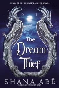 The Dream Thief by Shana Abe