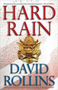Hard Rain by David Rollins