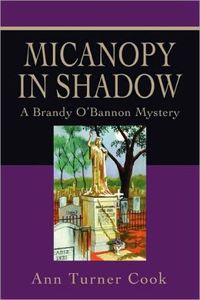 Micanopy In Shadow by Ann Turner Cook