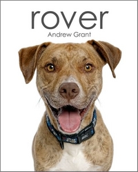 Rover by Andrew Grant-1