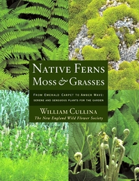 Native Ferns, Moss, and Grasses by William Cullina