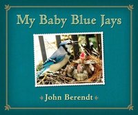 Baby Blues In The Big City by John Berendt