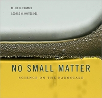 No Small Matter by Felice C. Frankel