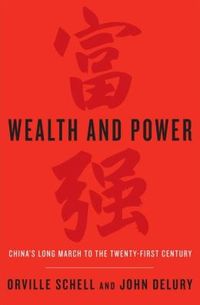 Wealth And Power by Orville Schell