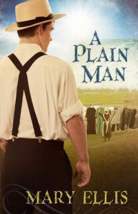 Excerpt of A Plain Man by Mary Ellis
