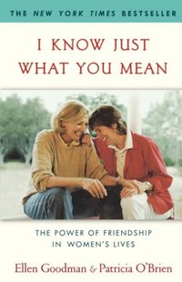 I Know Just What You Mean by Patricia O'Brien