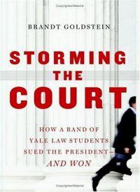 Storming the Court by Brandt Goldstein