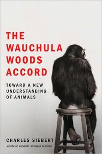 The Wauchula Woods Accord by Charles Siebert