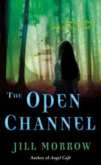 The Open Channel by Jill Morrow