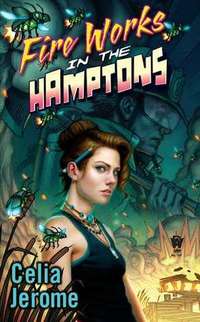 Fire Works In The Hamptons by Celia Jerome