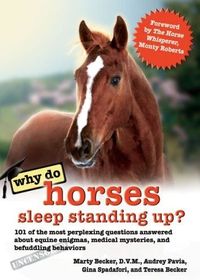 Why Do Horses Sleep Standing Up? by Marty Becker