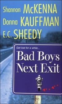 Bad Boys Next Exit by Shannon McKenna